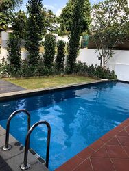 Shamrock Park (D10), Detached #471418481